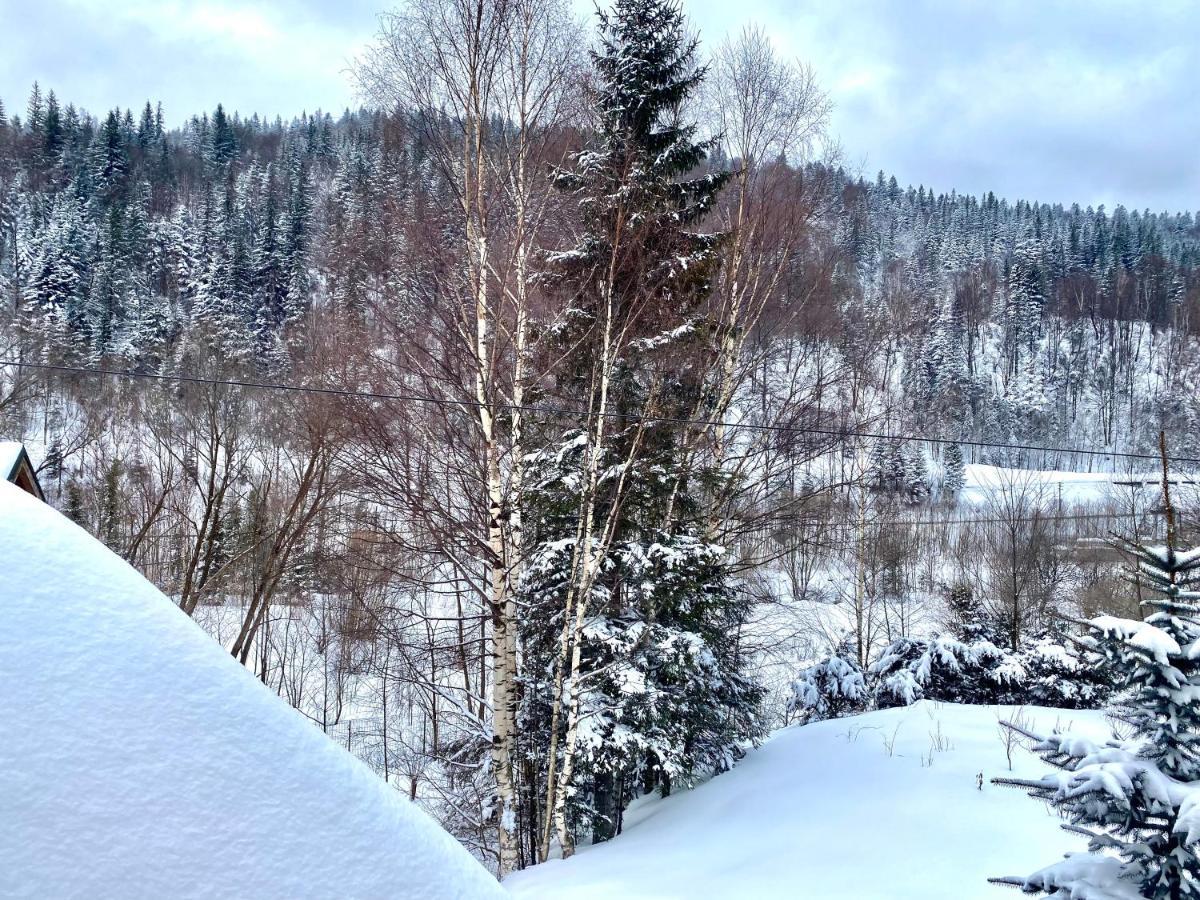 Chalet Four Seasons Villa Tatariv Buitenkant foto