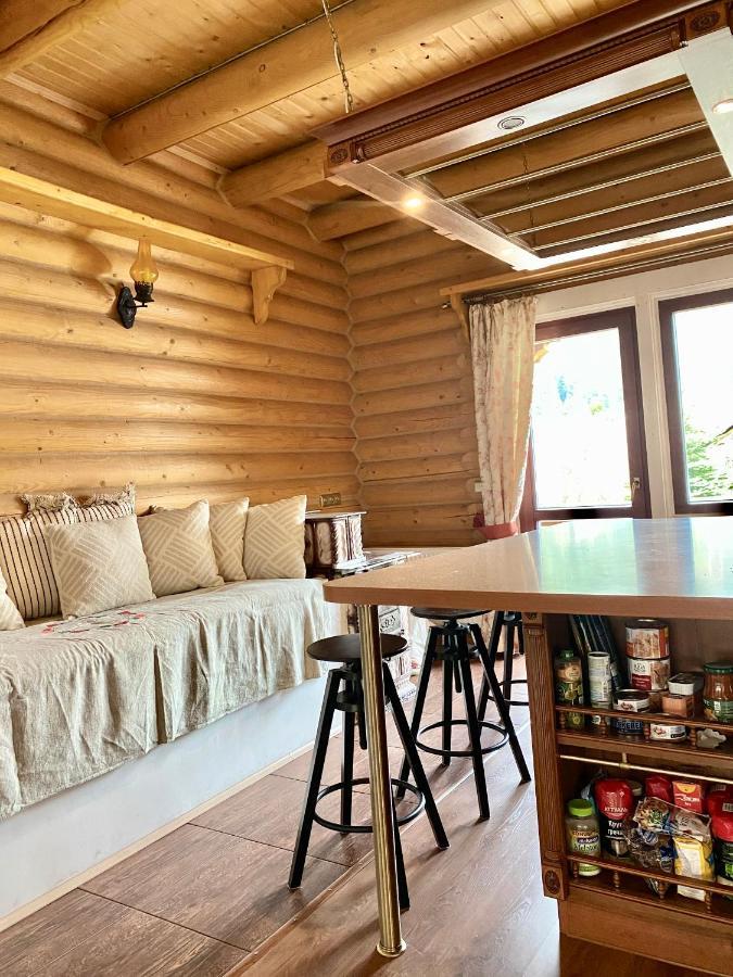 Chalet Four Seasons Villa Tatariv Buitenkant foto
